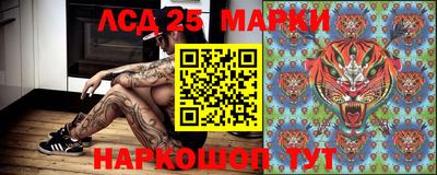 гашик Новозыбков
