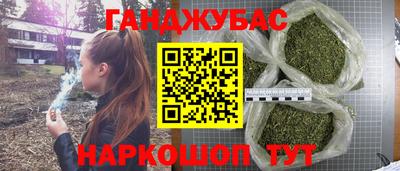 гашик Новозыбков