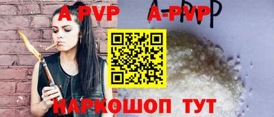 гашик Новозыбков