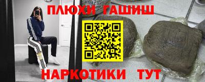 гашик Новозыбков