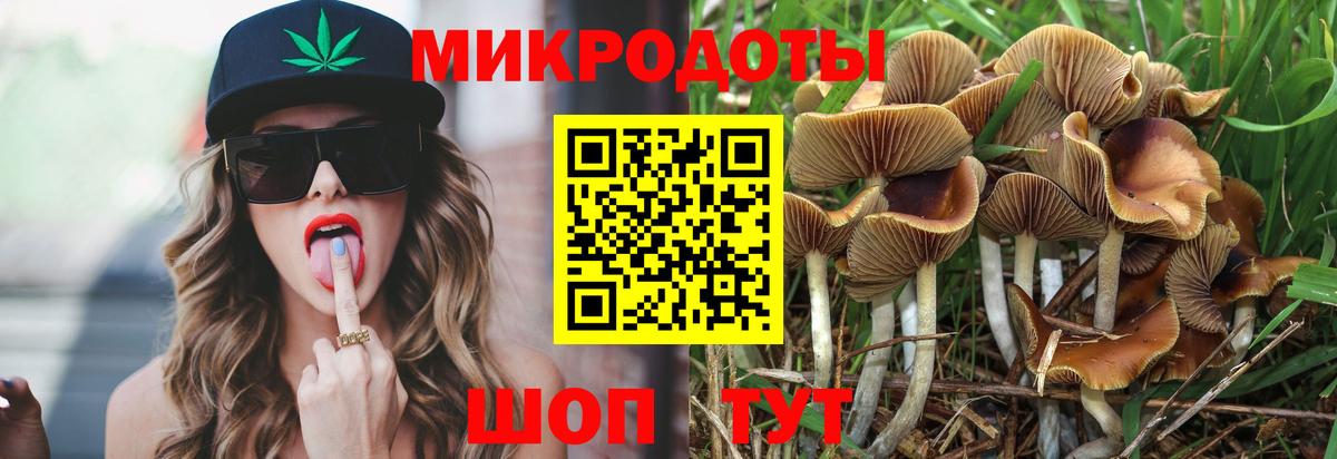Псилоцибиновые грибы Magic Shrooms Татарск