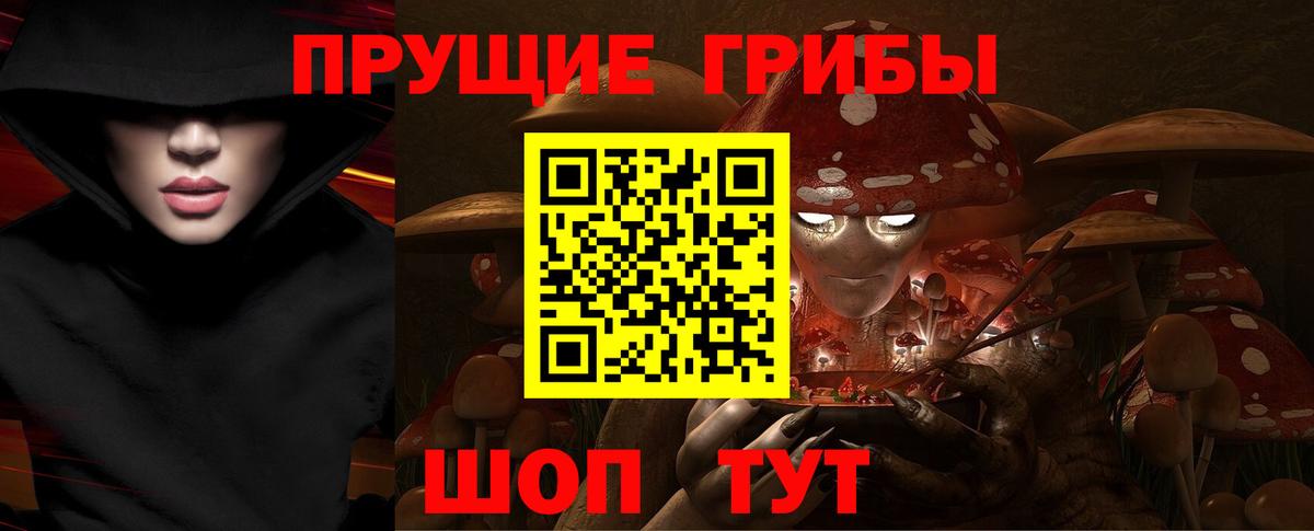 Татарск  Псилоцибиновые грибы прущие грибы  хочу   Вход с VPN 